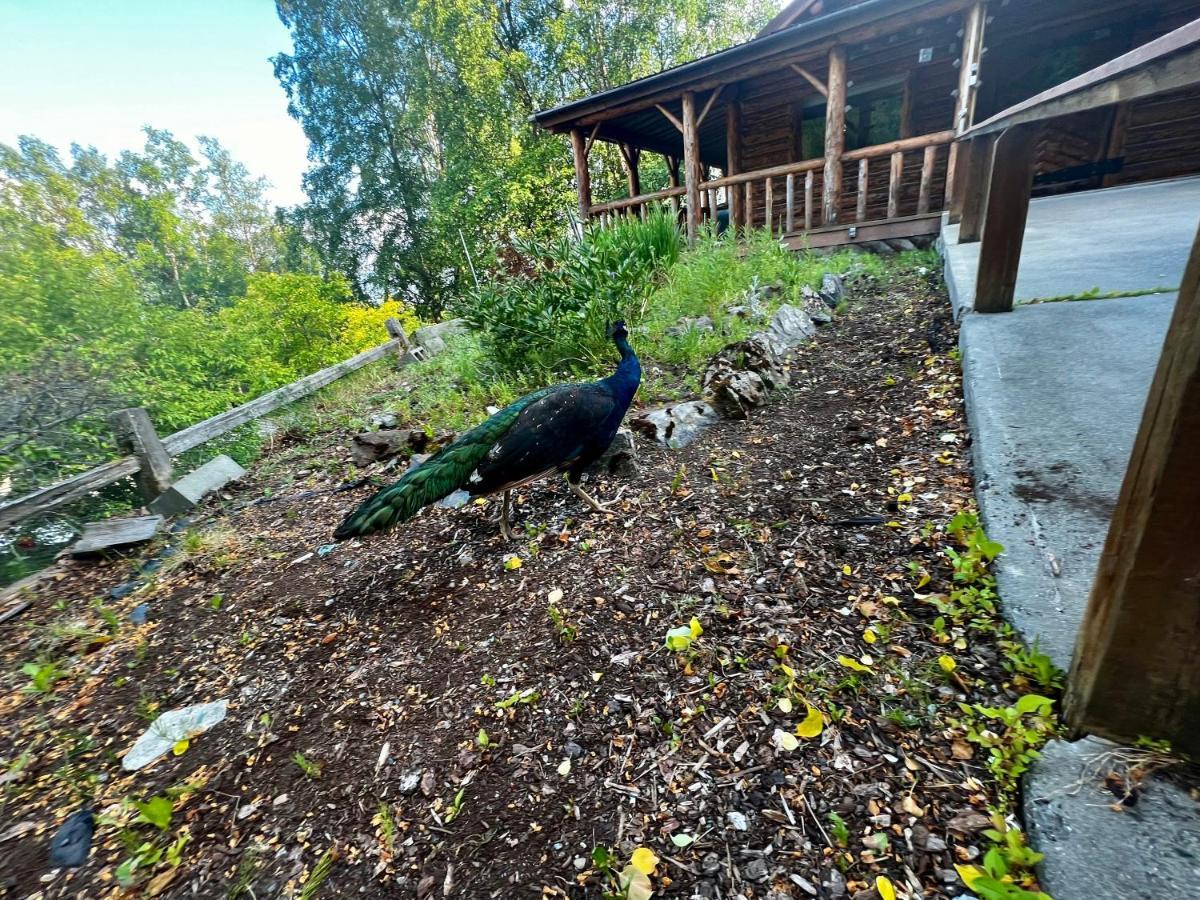 Indian Ak 25 Min To Anchorage & 25 Min To Girdwood Villa Eksteriør billede